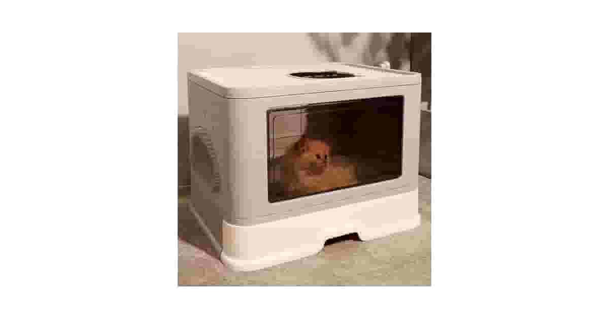 Melhores caixas de areia que reduzem odores: Guia