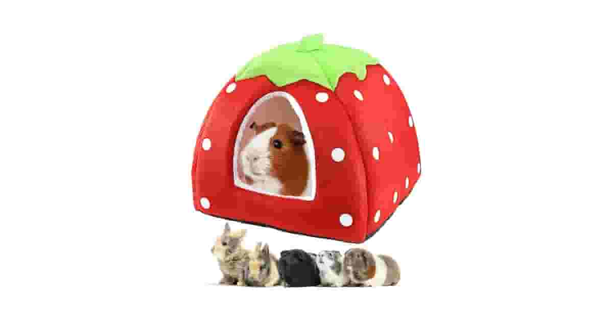 Melhores Camas para Furão: Guia de Redes e Tocas