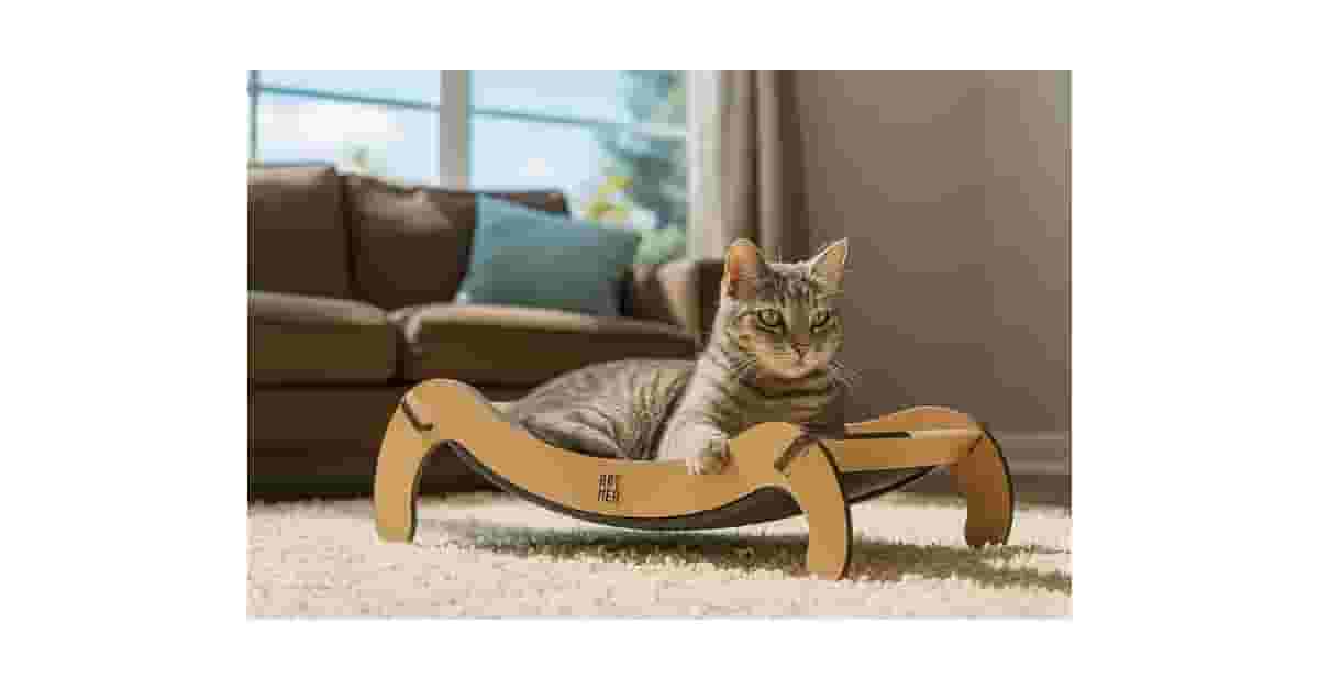 Melhores Camas para Gatos Que Podem Ser Penduradas: Top 10