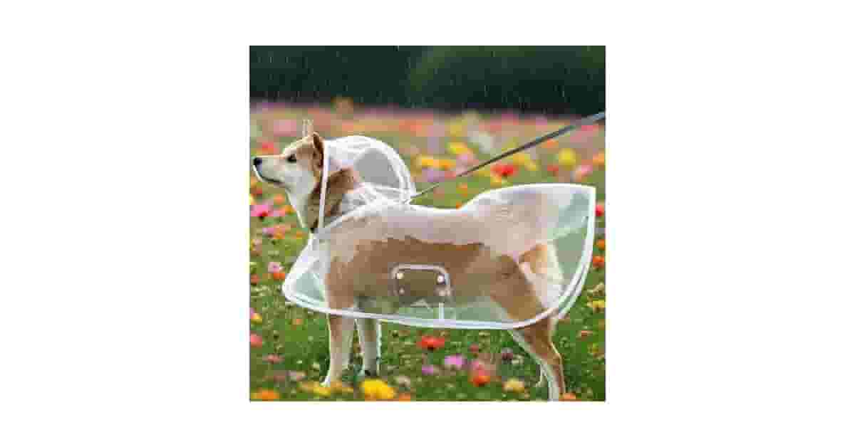 Melhores Capas de Chuva para Cachorro: Guia Impermeável
