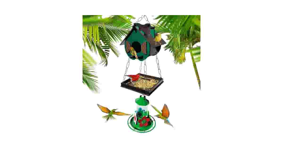 Melhores Casas de Passarinho: Madeira vs Ecológica