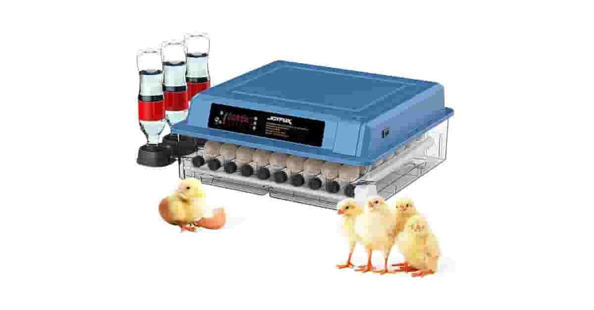 Melhores Chocadeiras: 10 Modelos para Alta Eclosão