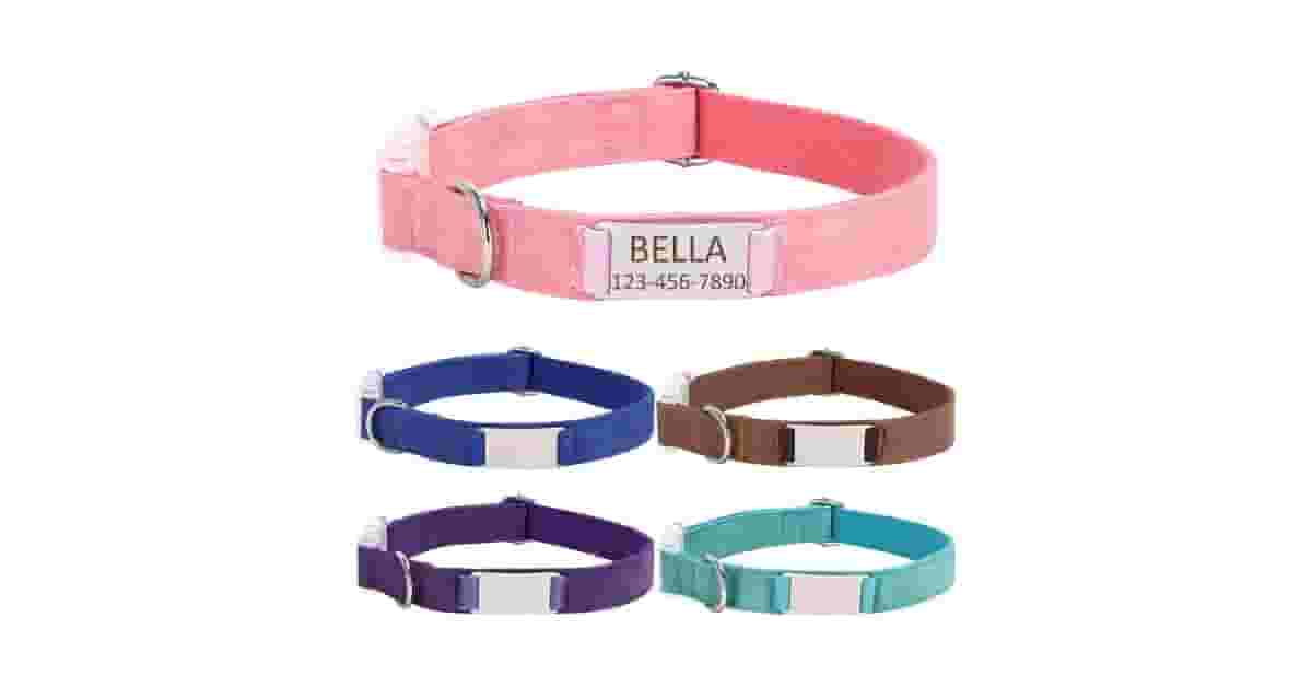 Melhores Coleiras para Cachorro com Nome Bordado: Guia de Compra