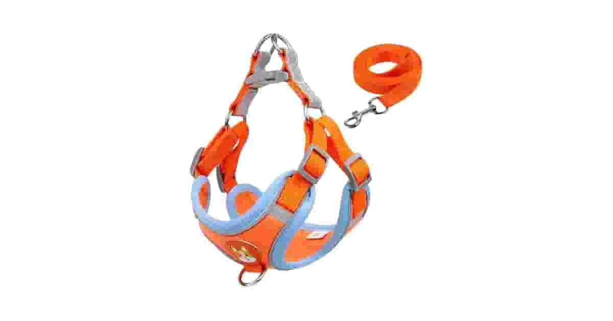 Melhores Coleiras para Cachorro: 10 Opções Seguras