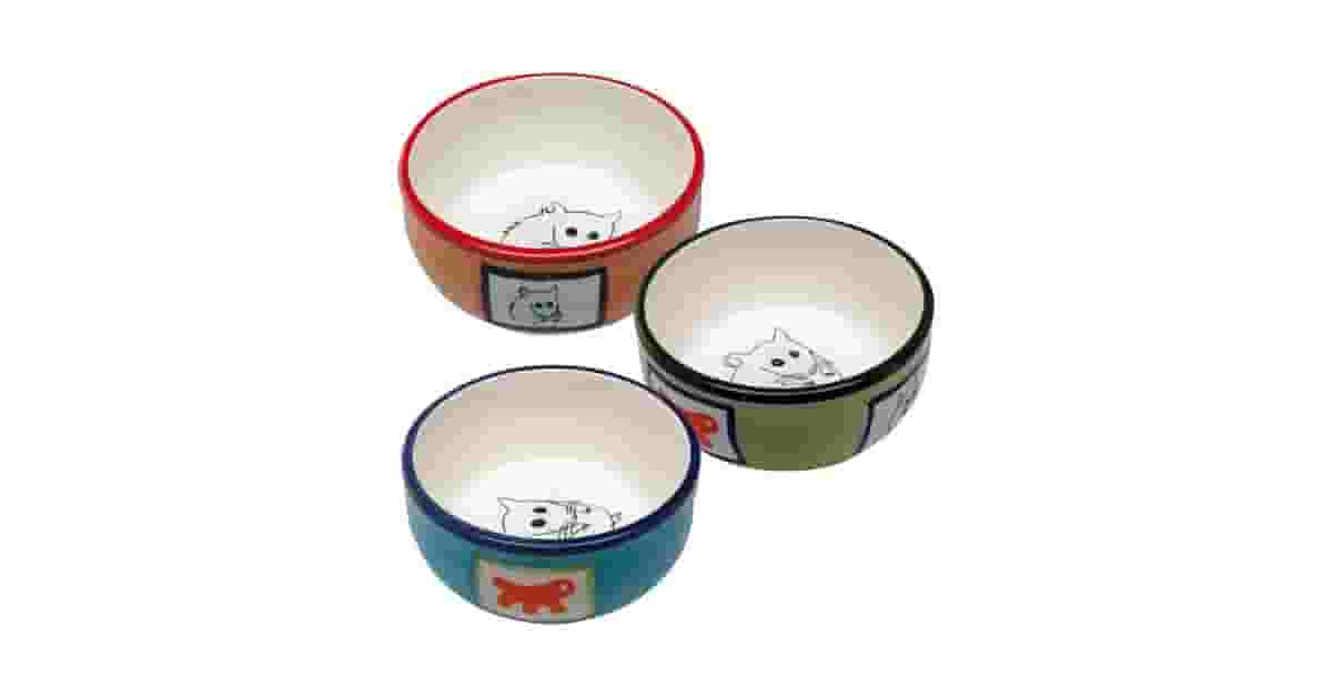 Melhores Comedouros de Cerâmica para Roedor: Guia