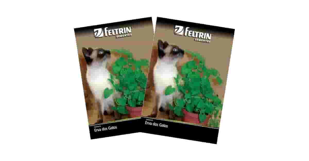 Melhores Gramas para Gato (Catnip): Guia de Saúde