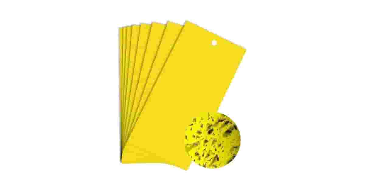 Melhores hotéis para insetos: Qual a Opção Ideal?