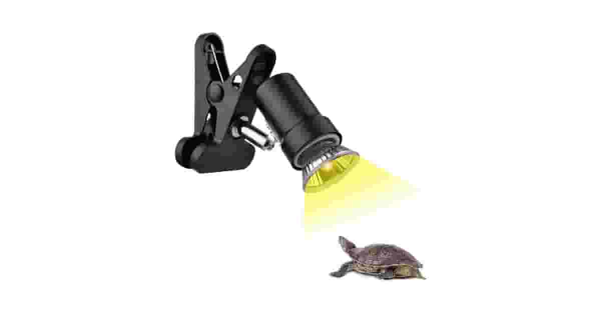 Melhores Lâmpadas UVB para Réptil: Qual a Ideal?