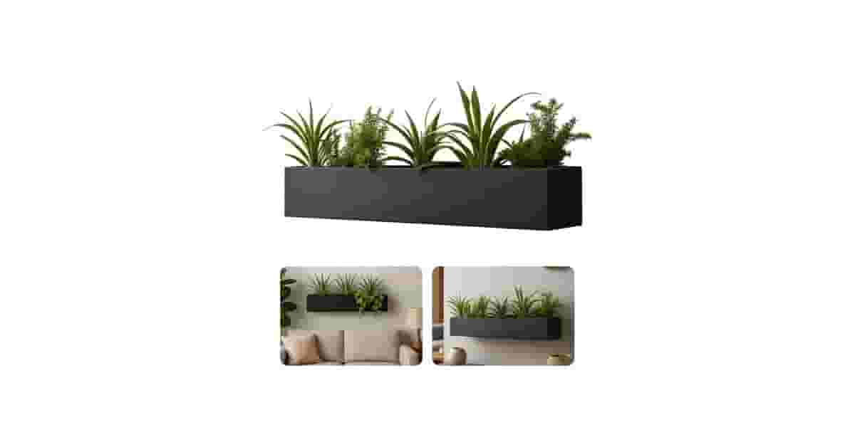 Melhores presentes para quem ama plantas: Qual Comprar?