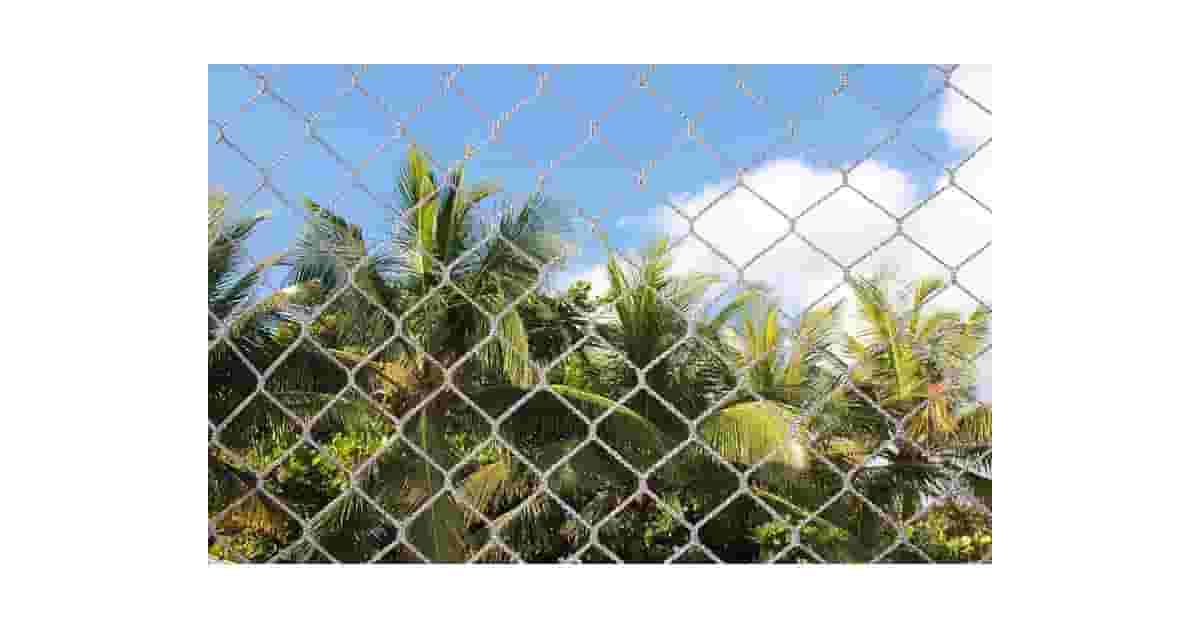 Melhores Redes Para Janela Para Segurança de Gato: 10 Kits Resistentes