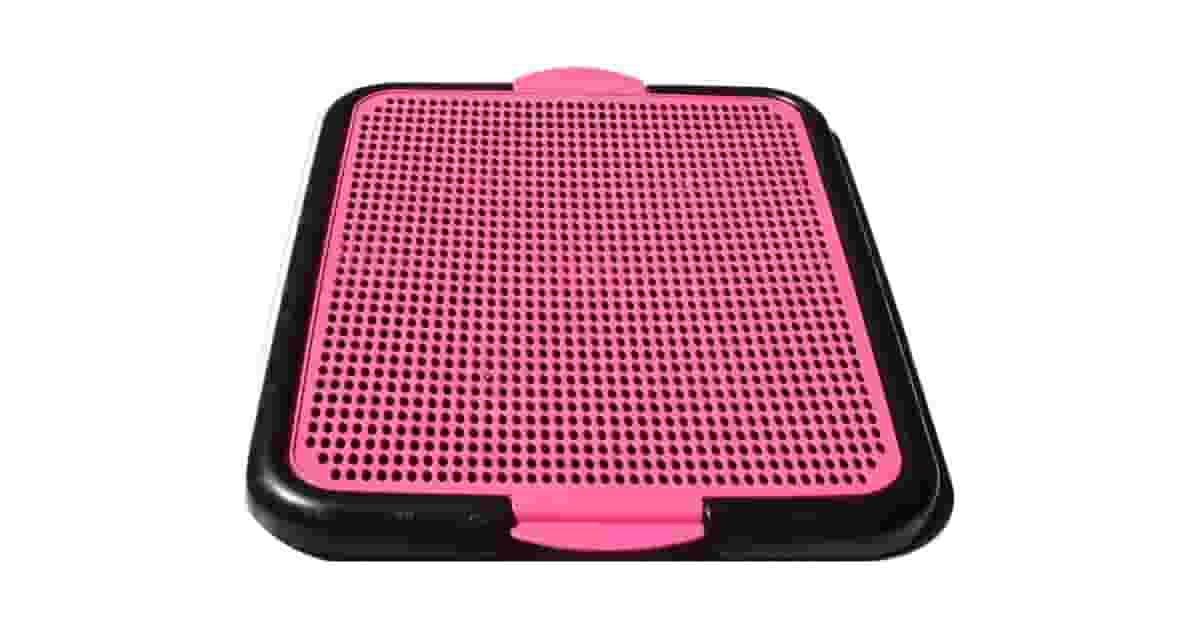 Melhores sanitários para cachorro: Grama ou Grade?