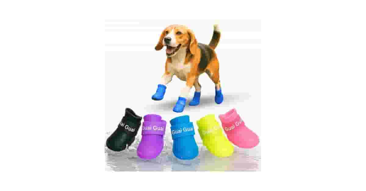 Melhores sapatinhos para cachorro para proteger as patas: 10 Opções Seguras