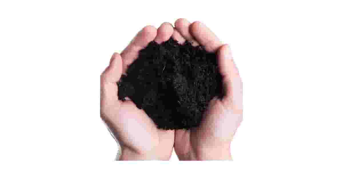 Melhores Terras para Plantio: Top 10 Férteis