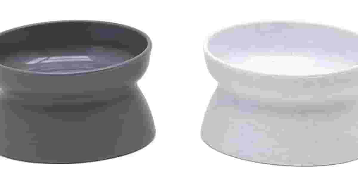 Melhores Vasilhas para Gato: 10 Opções Ergonômicas