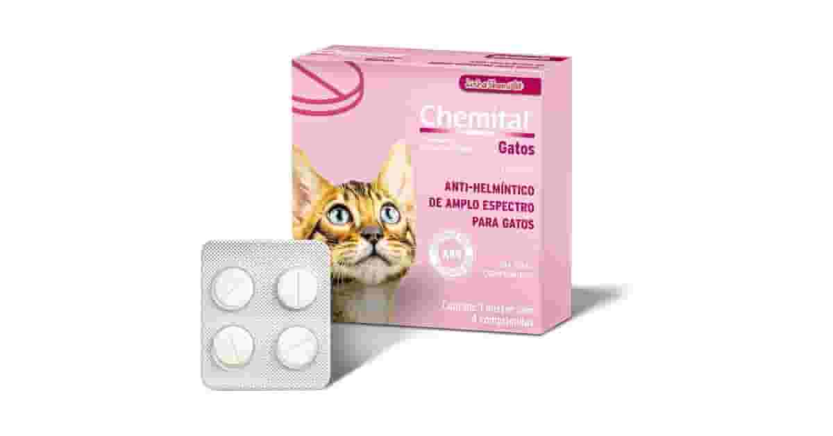 Melhores vermífugos para gato: 10 Opções Eficazes