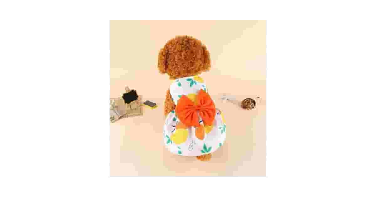 Melhores Vestidos para Cadela: 10 Modelos Lindos