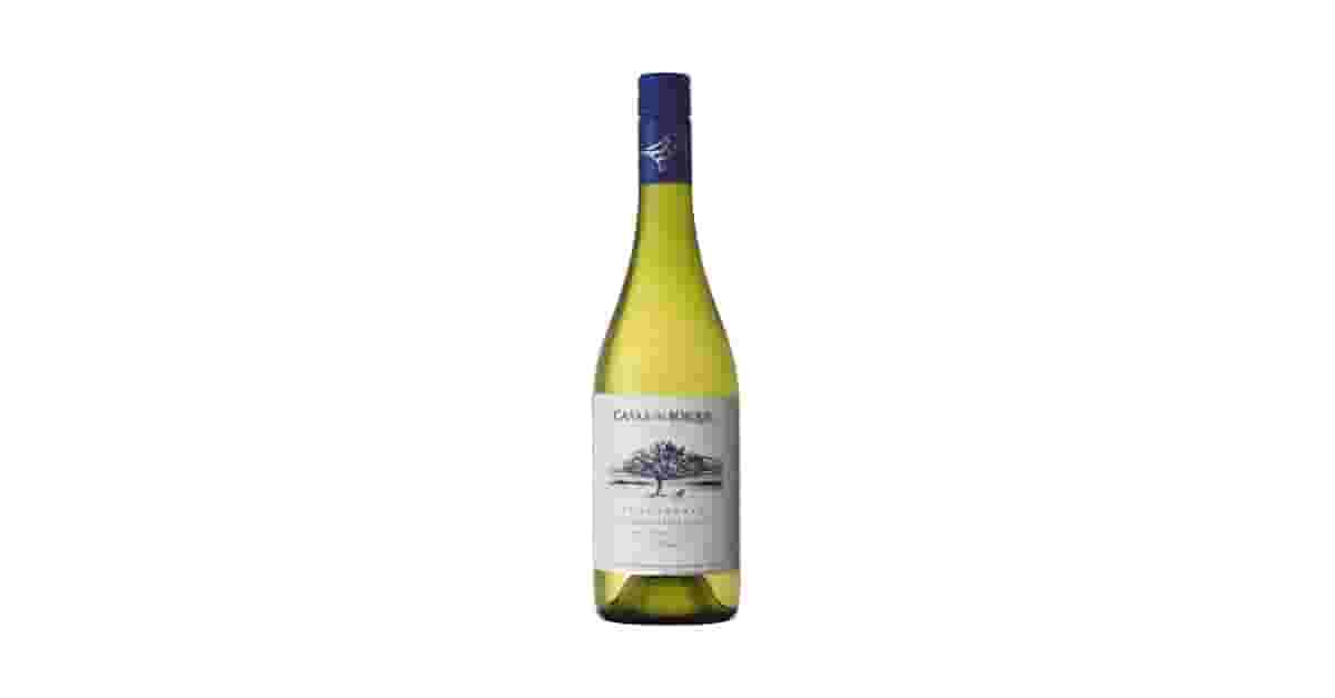 Melhores Vinhos Brancos Chardonnay Com Passagem Por Barrica: Top 5