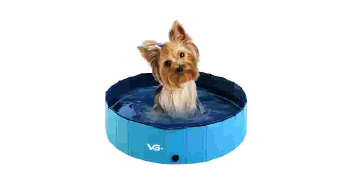 Piscinas Para Cachorro Reviews: Qual a Mais Forte?