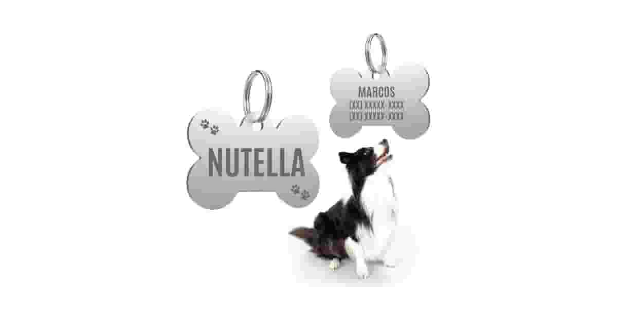 Plaquinhas de Identificação para Pet Reviews: QR Code ou Gravação?