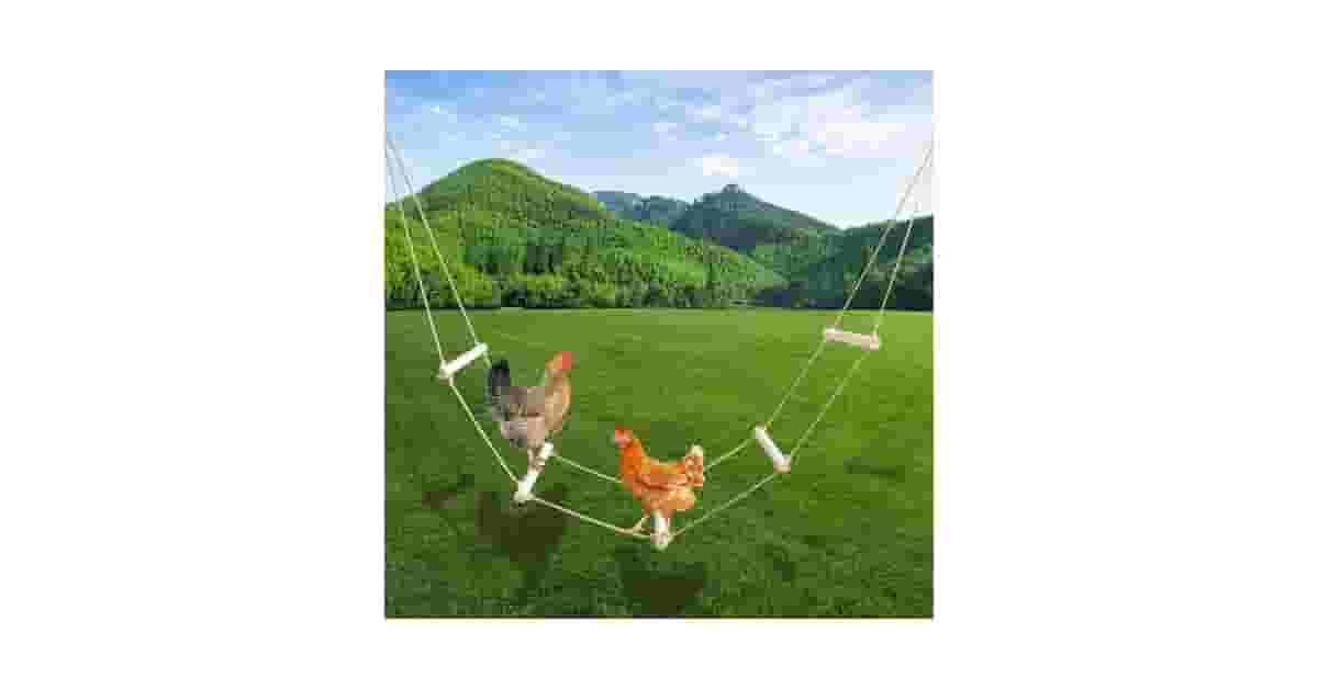 Poleiros Para Galinheiro Reviews: Qual o Melhor?