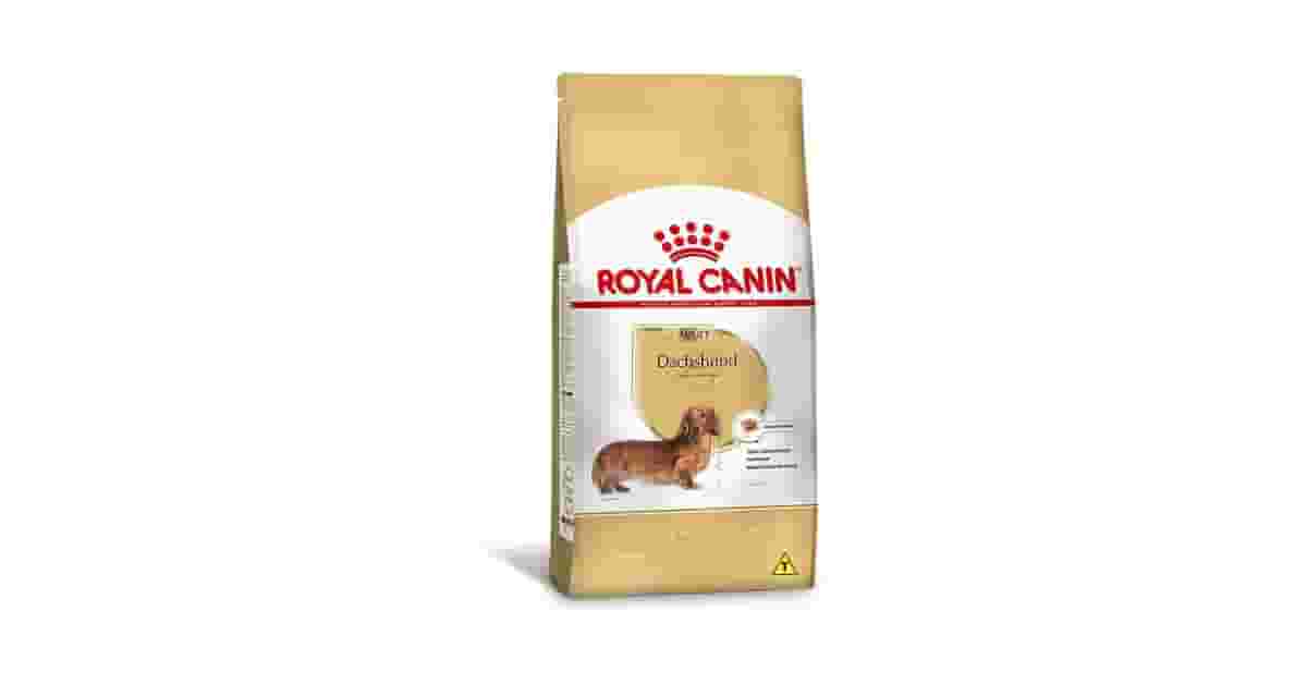 Rações Para Cães da Raça Dachshund (Salsicha) Reviews: Qual a Melhor?