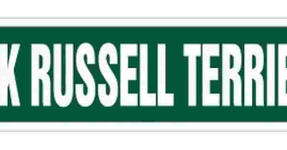 Rações Para Cães da Raça Jack Russell Terrier Reviews