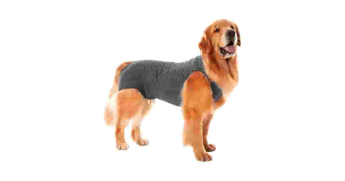 Roupas Cirúrgicas Para Pet Reviews: Qual a Melhor?