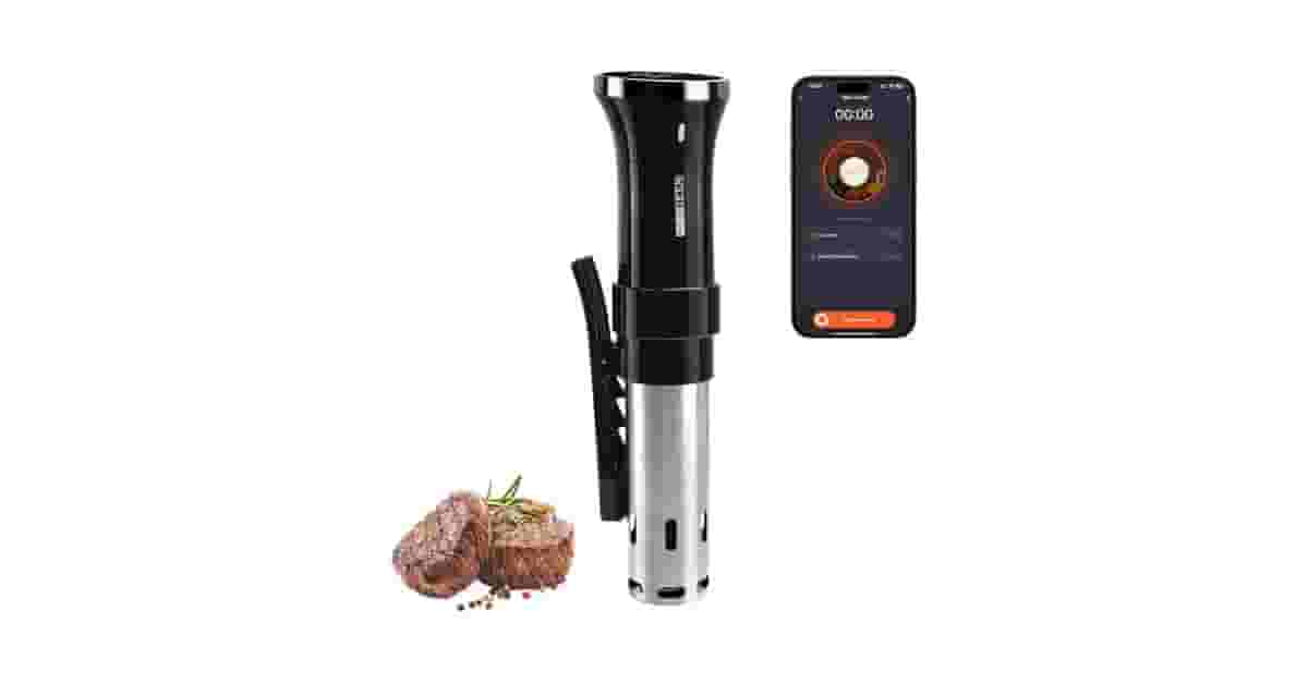 Sous Vide Para Cozimento Em Baixa Temperatura Reviews: Análise de 10 Modelos