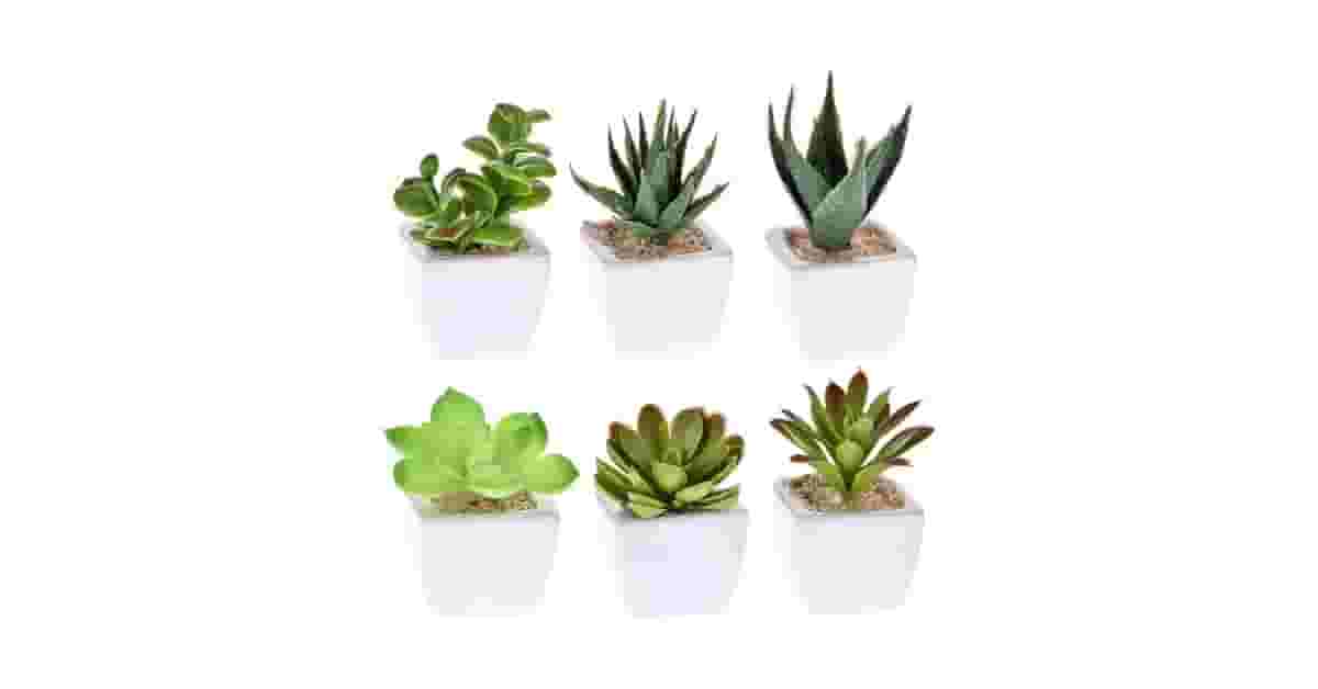 Suculentas Artificiais Reviews: 10 Kits Realistas