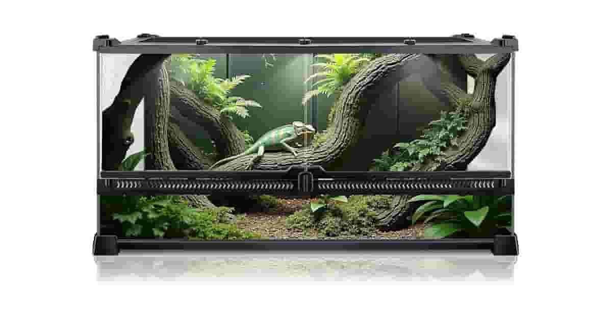 Terrários Para Cobra Reviews: Qual o Melhor Modelo?