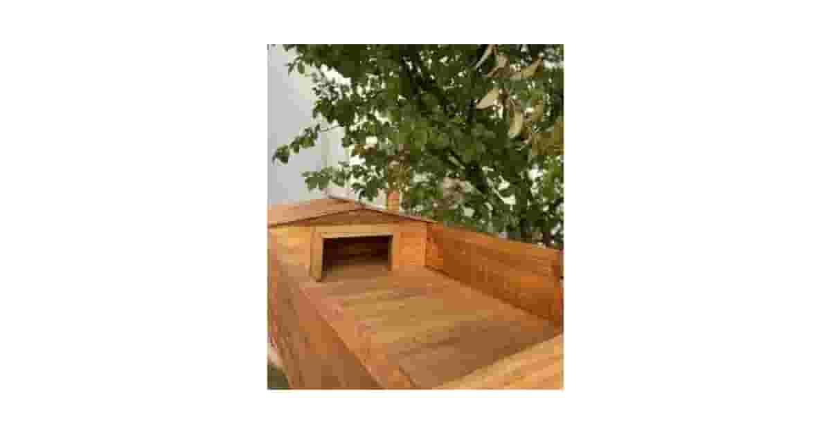 Terrários Para Jabuti Reviews: Qual o Melhor Material?