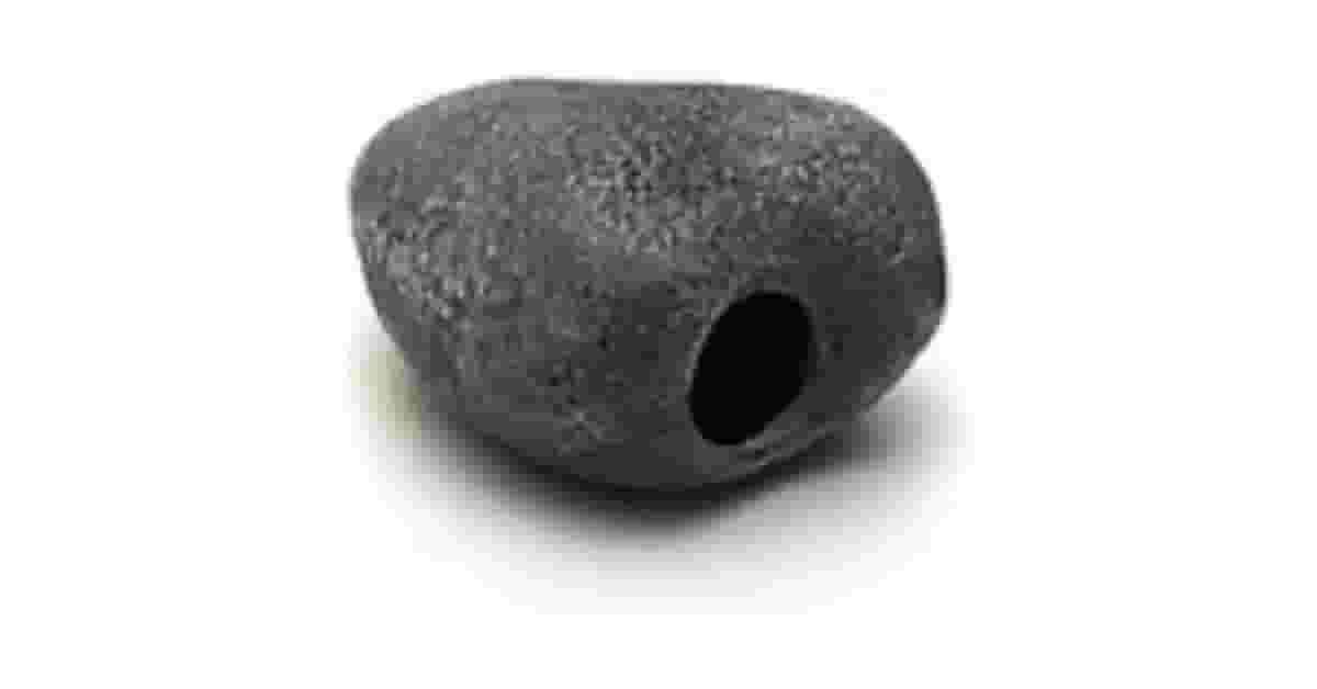 Troncos para Aquário Reviews: Resina ou Natural?