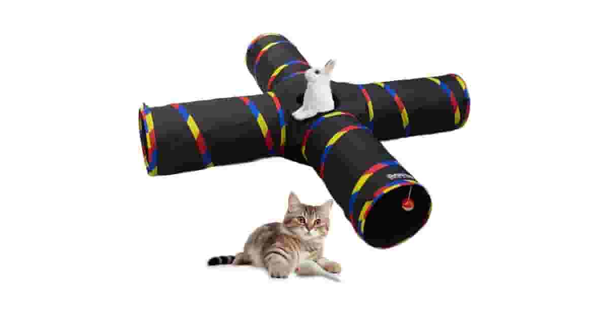 Túneis de Tecido Para Gatos Brincarem Reviews: Top 10!