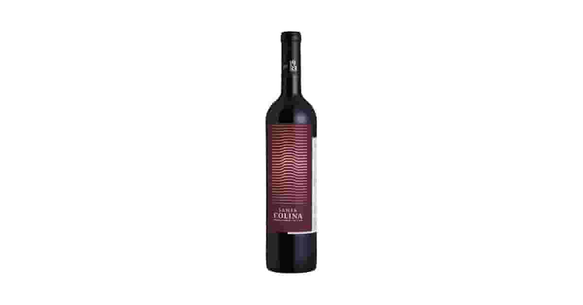 Vinhos Tintos Secos De Uva Merlot Reviews: Qual Comprar?