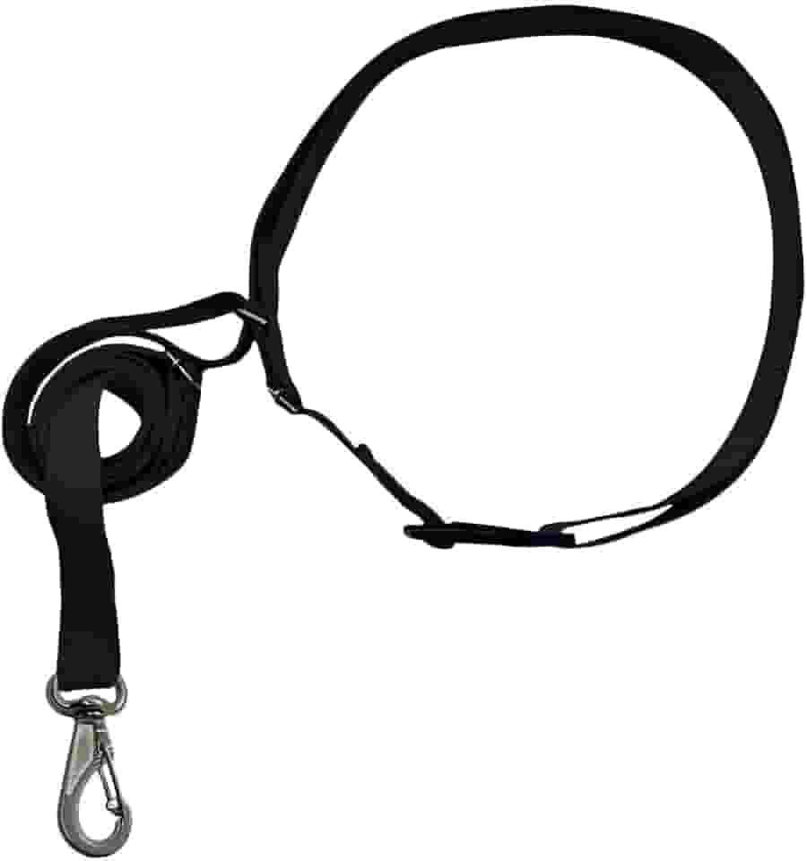 Guia Ajustável para Corrida e Passeio com Cachorro, Cinto de Cintura em Nylon, 70-120cm, Mãos Livres, com Mosquetão Resistente, Preto