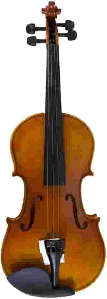 Violino Benson Bvr302 4/4 Profissional Completo