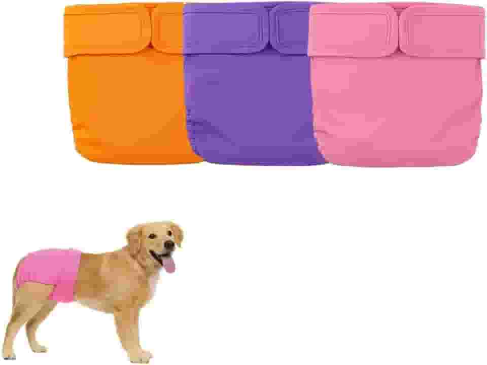 Kit 3 Fraldas Cachorro Fêmea Reutilizáveis Cor 2 - Materiais Duráveis ​​Solução lavável na máquina para incontinência de animais de estimação e viagens longas Petting Is Caring (G)