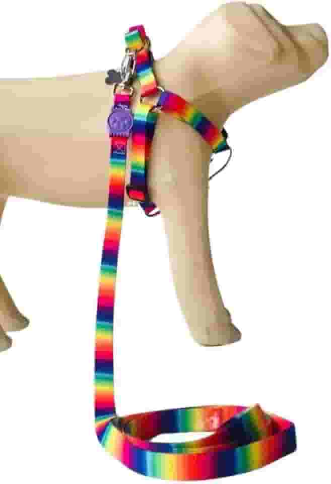 Conjunto Peitoral Coleira com Guia para Cachorros com Pingente para Identificação PP, Tamanho Ajustável, Confortável e Resistente