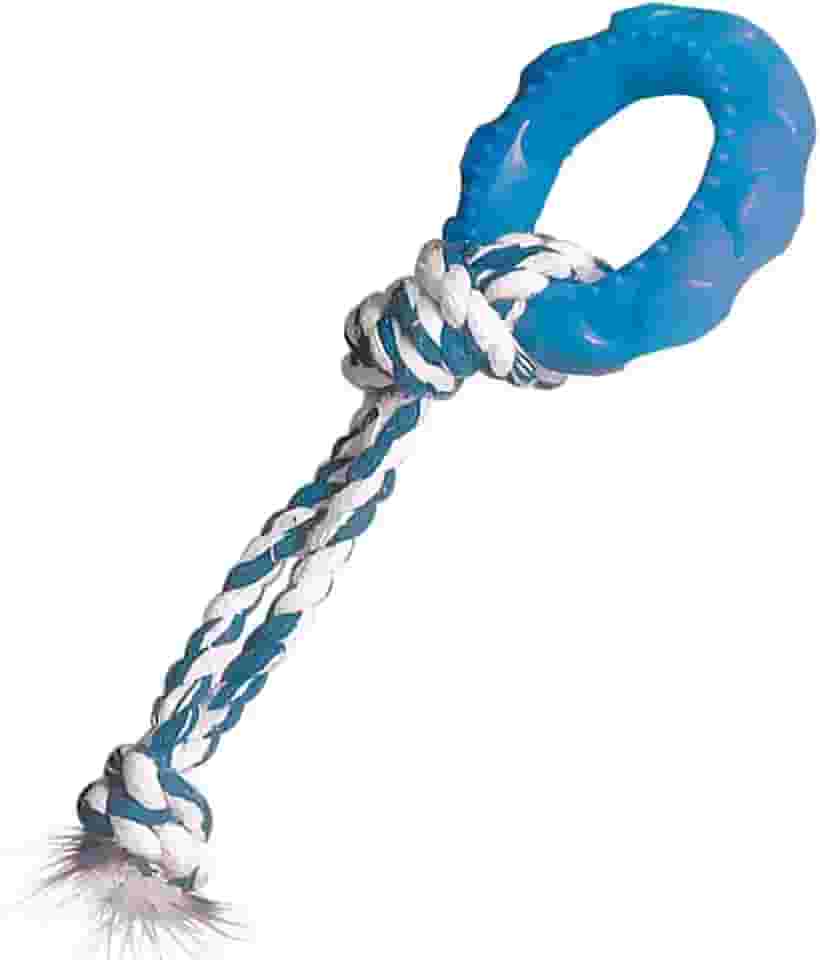 Furacão Pet Pneu Slick Borracha Com Corda Para Cães