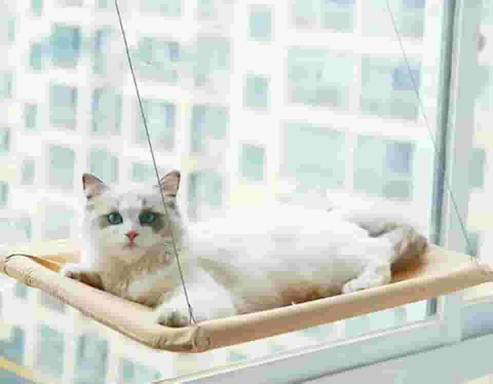 cama suspensa DE JANELA CAMINHA para gatos com ventosas janelas rede sacada pet cat