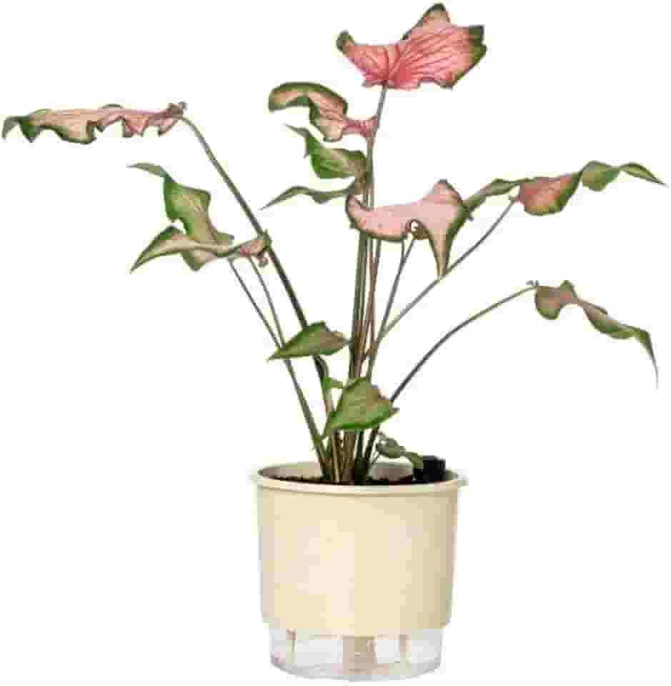 Vaso Autoirrigável Médio N03 16cm x 14cm - Terrazzo Calcário
