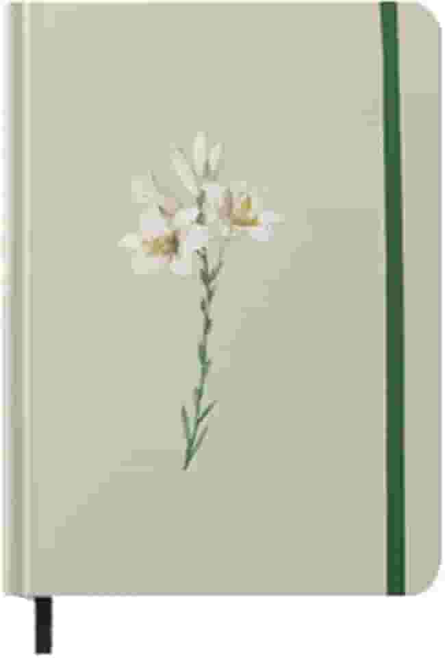 Caderno Moleskine | Com Pauta | Lírios Verde