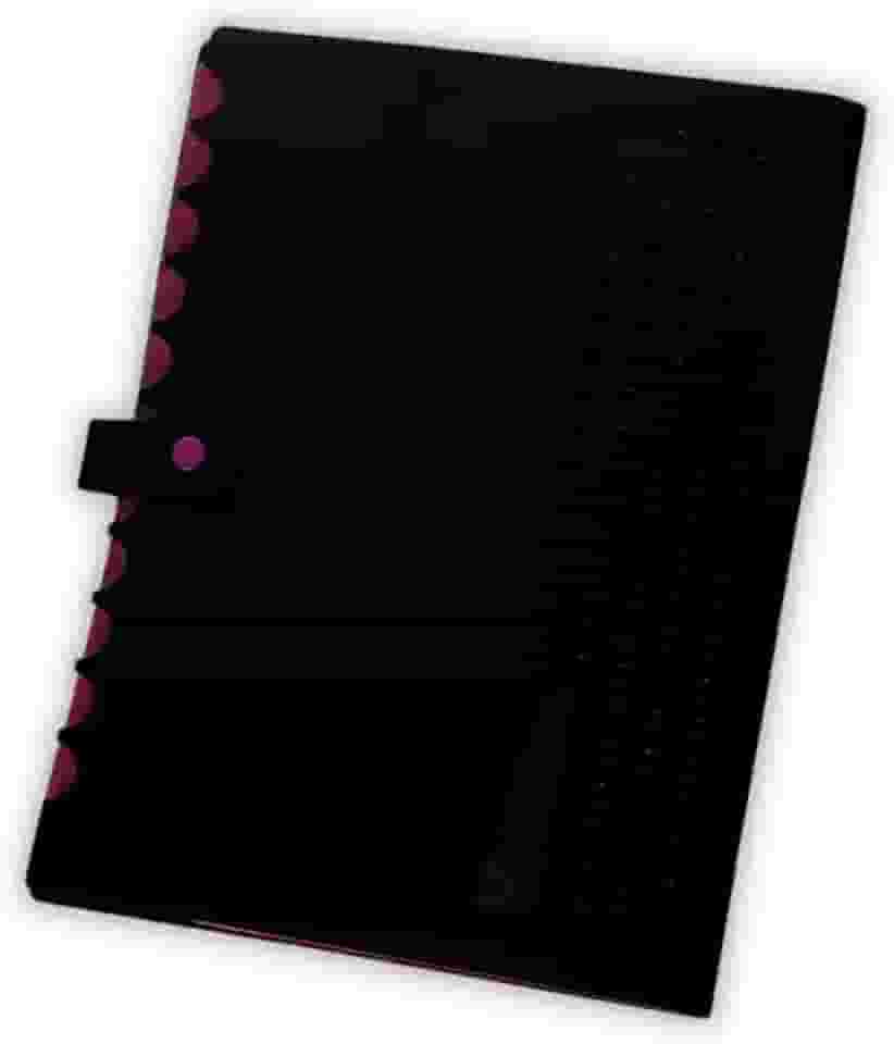 Pasta Sanfonada Catalogo A4 com 5 Divisórias Organizador de Documentos Neon Escritorio Escola Arquivo Papel Sulfite (Rosa)