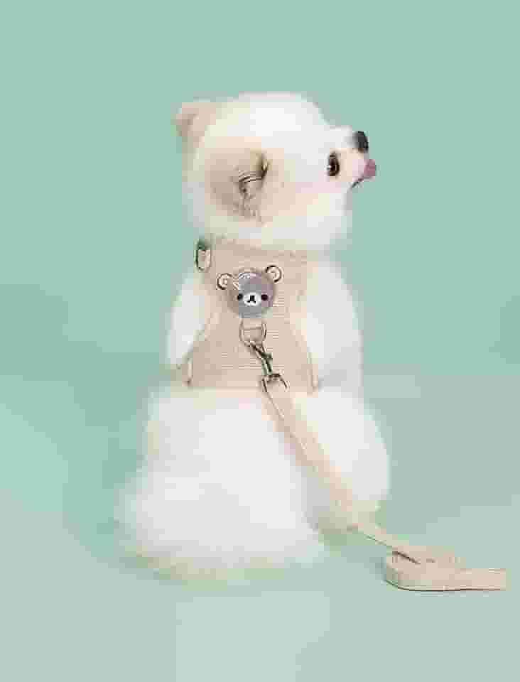 Peitoral e coleira para cães e gatos, colete macio com corda, peitoral ajustável para passear, apenas para cães pequenos e gatos, tamanho P, branco