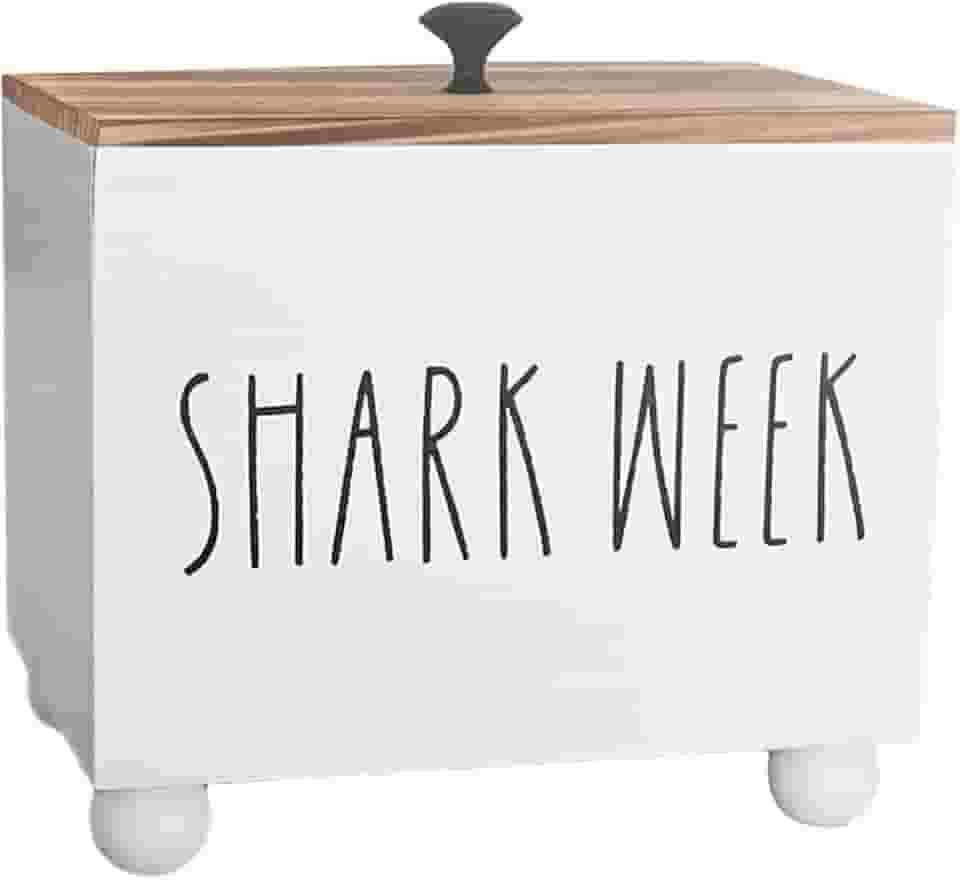 Suporte para absorvente interno e caixa de armazenamento para absorventes internos para Organizador de produtos femininos Organizador de