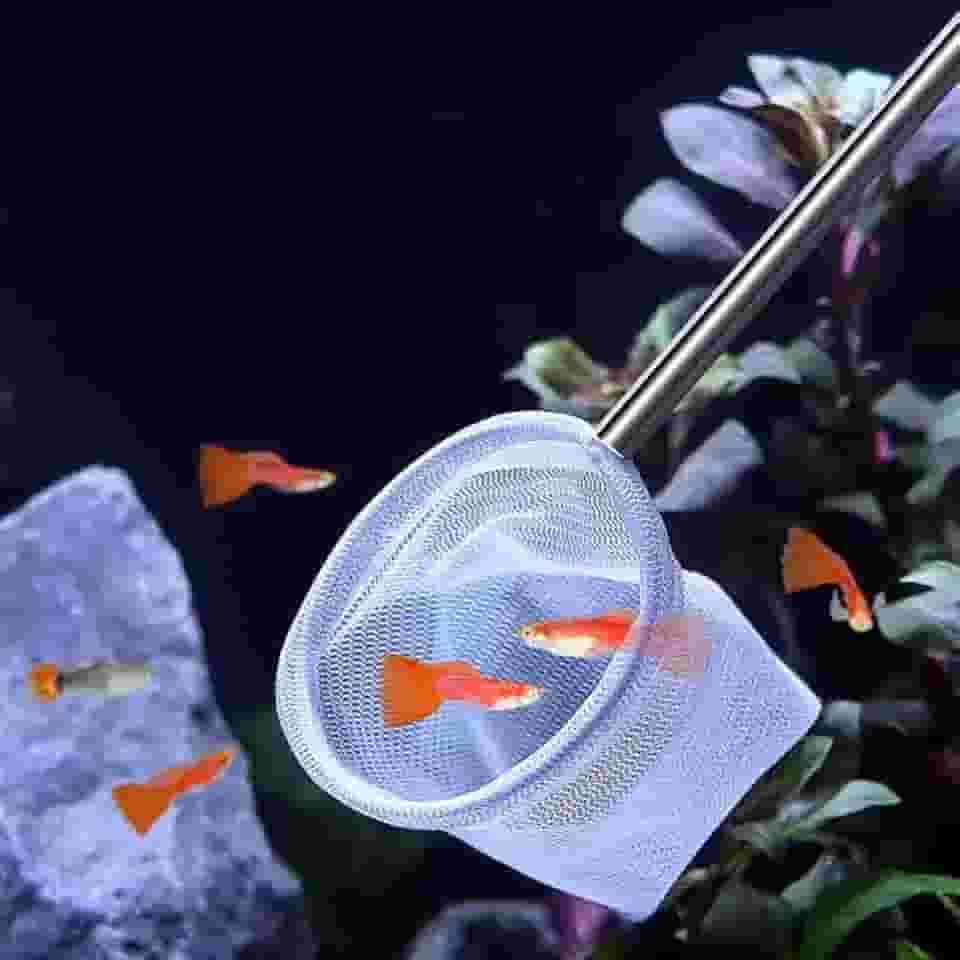 1 rede de camarão para aquário pequeno – ferramenta de limpeza de detritos de aquário com malha fina e alça extensível para tanques e aquários
