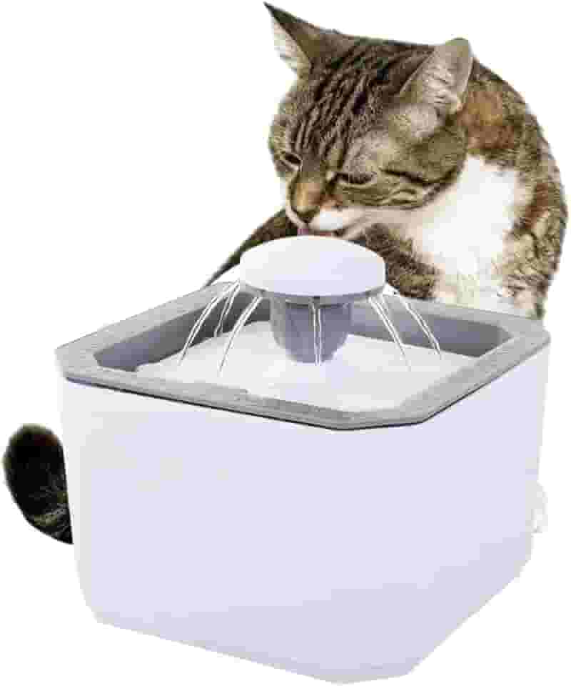 Fonte Bebedouro Elevado Automático De Água 2.5l Filtro Cães E Gatos Premium Pet