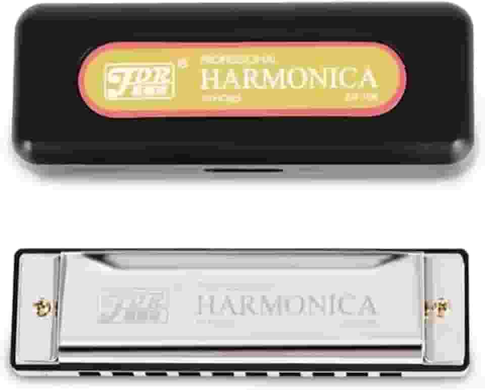 Gaita de Boca Diatônica JDR – 10 Furos 20 Vozes em Dó (C) com Estojo – Harmônica Profissional para Blues, Folk, Iniciantes e Músicos (Prata)