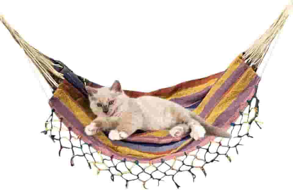 Cama Suspensa Para Gatos, Rede Para Pendurar, Montada Na Parede(COR SORTIDA)