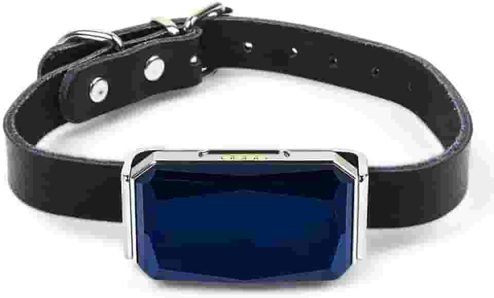 Localizador de Pet Coleira Rastreadora GPS para Cachorro e Gato Anti-Perdida IP67 Posicionamento Preciso Rastreamento Real Vários Alarmes Geo-Fence Gerenciamento Remoto Carregamento USB Compacto Leve